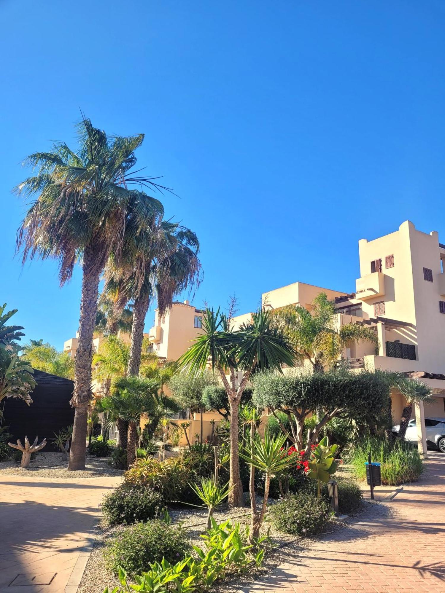 Bajo Con Una Terraza Espectacular Al Lado De La Playa Y Con Acceso Directo A La Piscina! Лос-Амаргильос Экстерьер фото